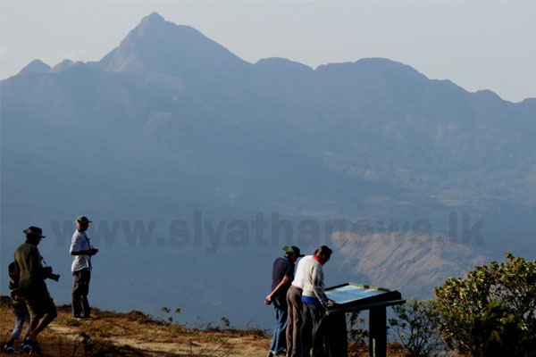 ලෝකාන්තයෙන් ජිවිත ගමන නිමා කළ ජූලියාගේ නිසල සිරුර හමුවෙයි