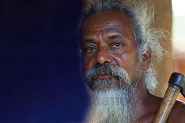 වන්නිල ඇත්තන්ගෙන් ඉල්ලීමක්