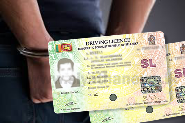 වවුනියාවේ ලයිසන් හොරු කොටුවේ