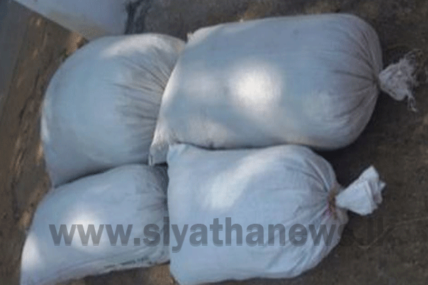 කේරළ ගංජා තොගයක් සමඟ අයෙකු කොටු වෙයි