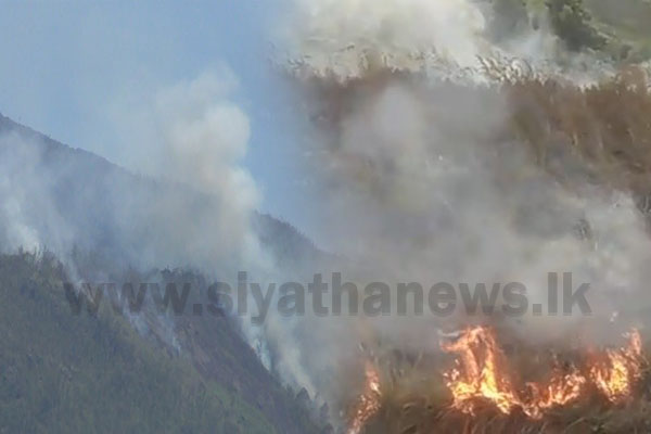 මධ්‍යම කඳුකරයේ රක්ෂිතවලට ගිනි තැබිම් වැඩි වෙයි – (ඡායාරූප)