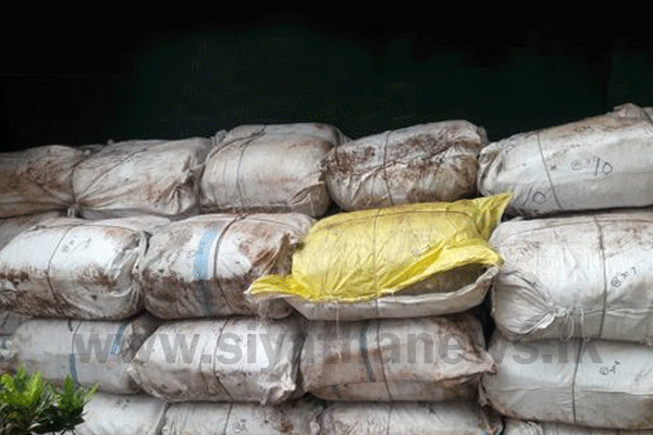 තාවුල්පාඩු වෙරළ තීරයෙන් බීඩිකොළ පාර්සල් 33 ක් සොයාගනී