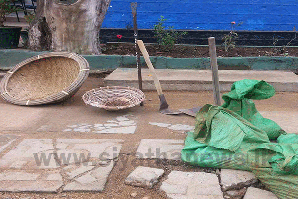 තේ වතුවල අනවසරෙන් මැණික් ගැරූ 8ක් අත්අඩංගුවට