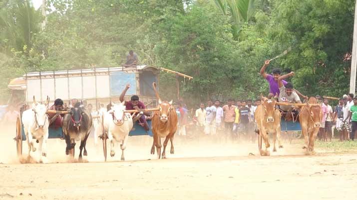 මුලතිව් වල තිරික්කල් තරඟයක් (ඡායාරූප)