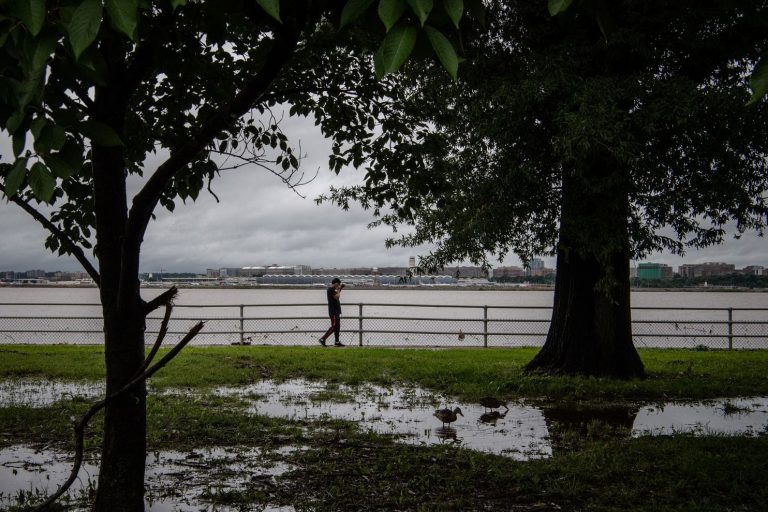 වොෂින්ටන් නුවරට තද වැසි