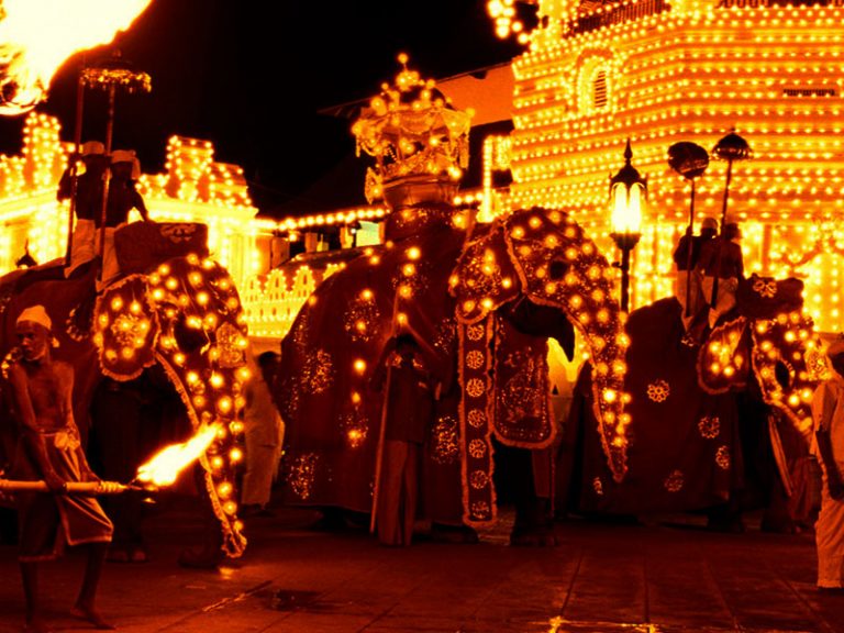ඇසළ පෙරහැරට එන සියලු කලාකරුවන්ට විශේෂ හැඳුනුම්පතක්