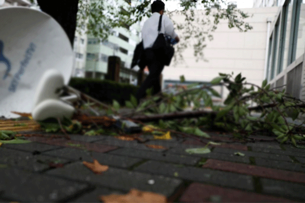 ෆැක්සායි ටෝකියෝ අගනුවරට