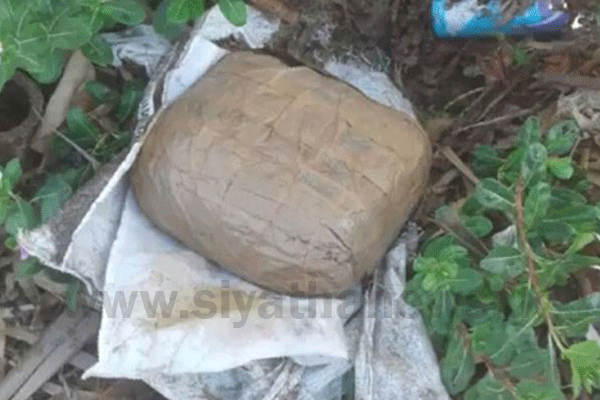 කේරළ ගංජා තාෙගයක් නාවික හමුදාව සොයා ගනී