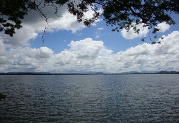 කලා වැවේ වාන් දොරටු 2 ක් විවෘත කෙරේ