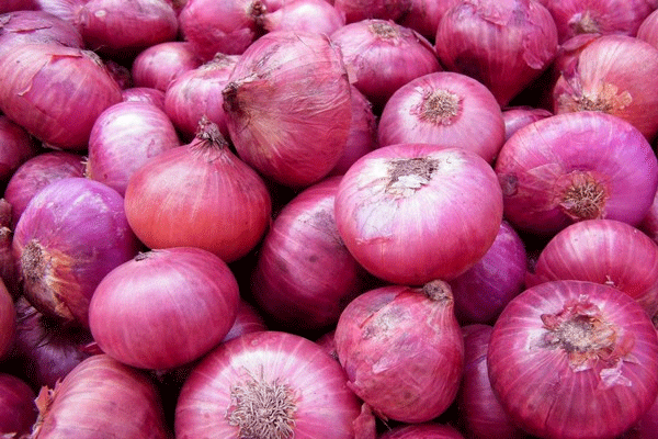 ලොකු ළූණු බද්ද අඩු වෙයි