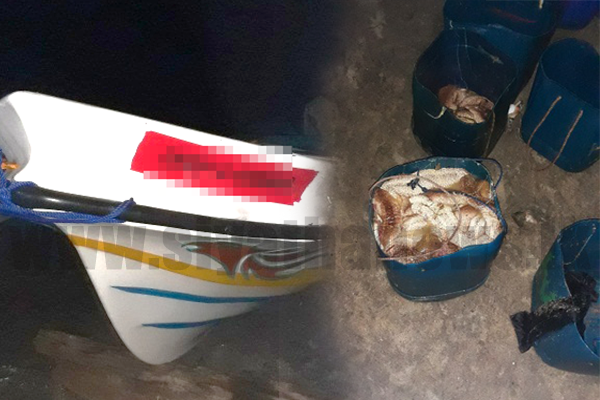 මුහුදු කූඩැල්ලන් සමඟ පස්දෙනෙක් නාවික හමුදා බාරයට
