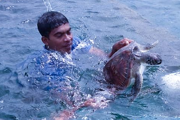 සිරවී සිටි‍ කැස්බෑවන් 25ක් නාවික හමුදාව බේරා ගනී