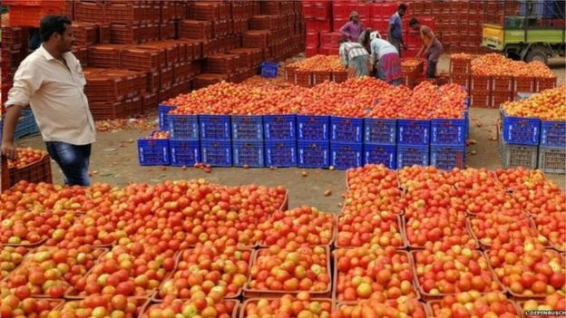 මේ සියවස අග වන විට ලෝකවාසීන්ගේ ආහාර අවශ්‍යතාව 80%න් ඉහළට
