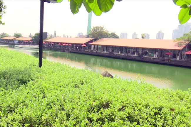 පාවෙන වෙළෙඳ සංකීර්ණය කඩිනමින් පිළිසකර කරන්න අගමැතිගෙන් උපදෙස්