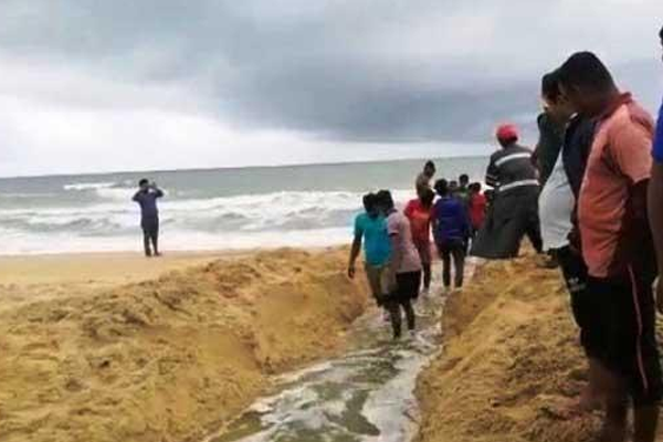 නන්දිකඩාල් කලපුවේ මෝයකට පුළුල් ක‌ෙ‌රේ