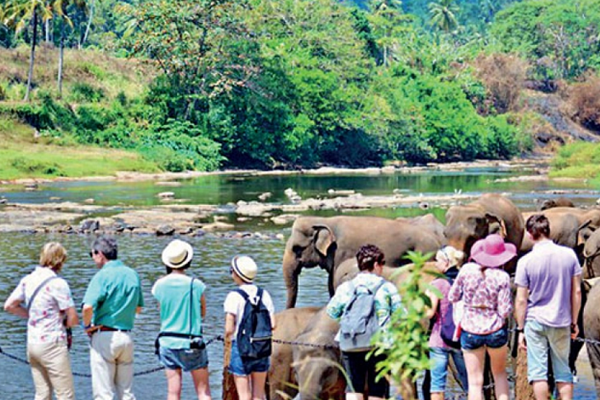 සංචාරකයින් පැමිණීමේ වැඩිවීමක්