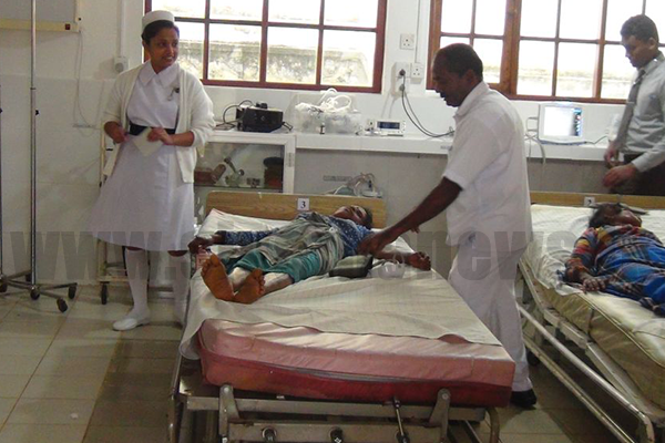 බඹර ප්‍රහාරයකින් වතු කම්කරුවන් 15ක් රෝහලට