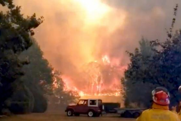 උෂ්ණාධික තත්ත්වය නිසා නිව් සවුත්වේල්ස් ප්‍රාන්තයට හදිසි තත්ත්වයක්