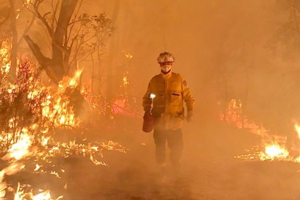 ලැව්ගිනිවලින් හෙක්ටයාර දහස් ගණනක් විනාශ වෙයි