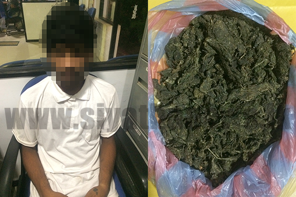 කේරළ ගංජා ලඟ තබාගෙන සිටි පුද්ගලයෙක් නාවික හමුදා බාරයට