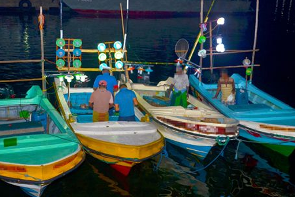 නීති විරෝධීව මසුන් ඇල්ලු හතක් අත්අඩංගුවට