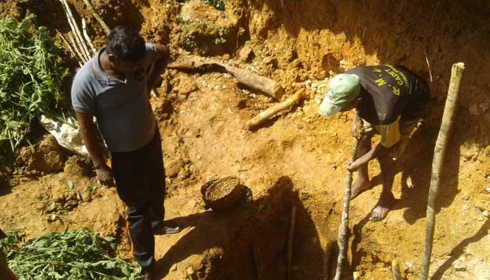 හෝර්ටන්තැන්න වනෝද්‍යානය තුළ මැණික් ගැරු 5ක් අත්අඩංගුවට