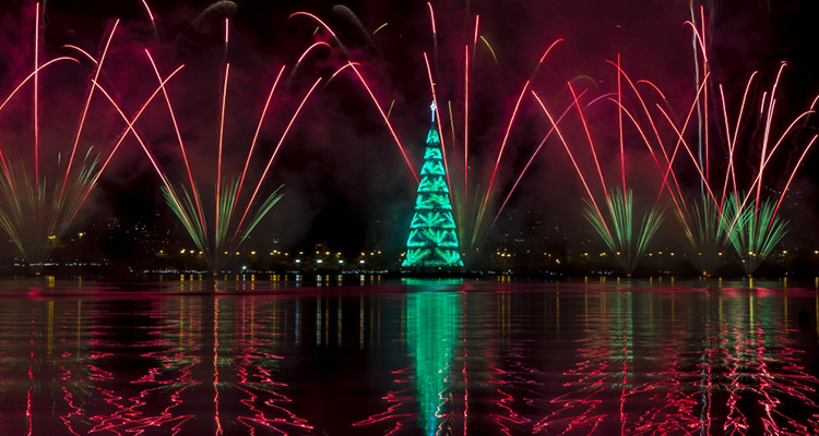 පාවෙන නත්තල් ගසක් බ්‍රසීලයෙන් වාර්තා වෙයි