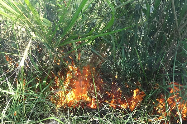 කාසල්රි ජලාශ රක්ෂිතයේ ගින්නක් – අක්කර 5ක් විනාශයි