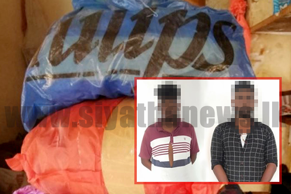 කේරළ ගංජා සමඟ සැකකරුවන් දෙදෙනෙක් අත්අඩංගුවට