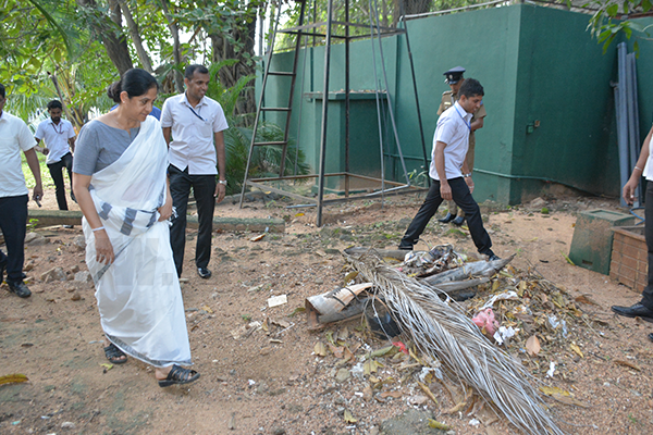 ඩෙංගු මර්දනයට කඩාපනින හමුදා යොදවන්න – නැගෙනහිර ආණ්ඩුකාරවරියගෙන් නියෝග