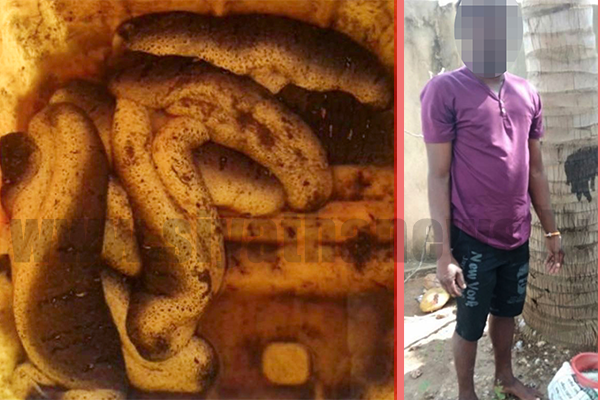 මුහුදු කූඩැල්ලන් තොගයක් සමඟ අයෙක් නාවික හමුදා බාරයට