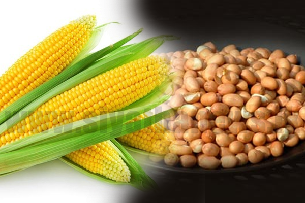 රට කජු සහ බඩඉරිඟු ආනයනය අත්හිටුවයි
