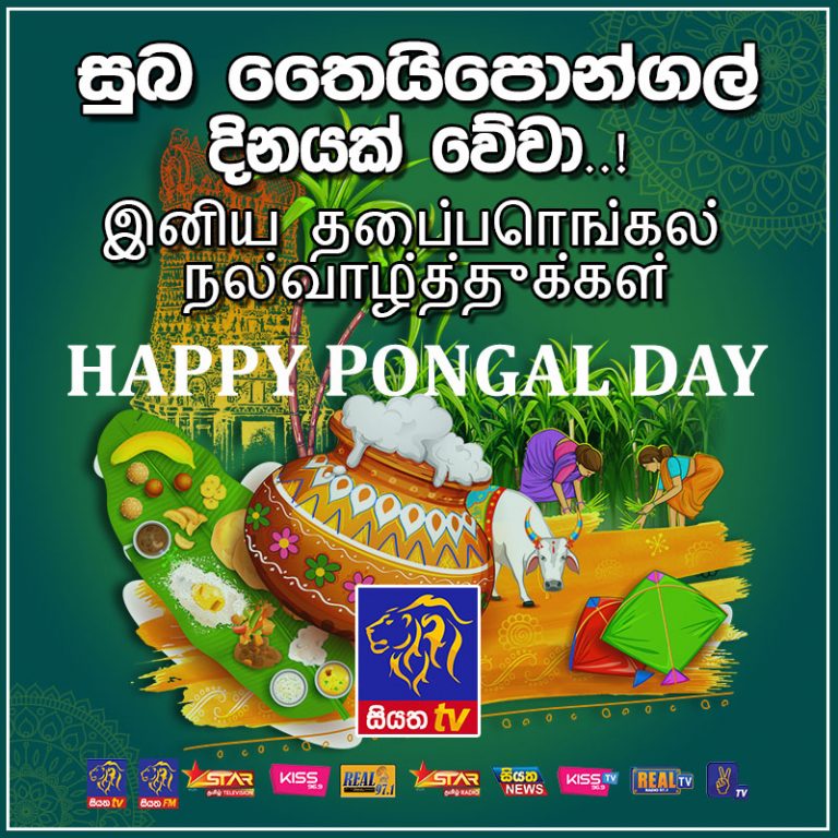 තෛපොංගල් දිනය අදයි