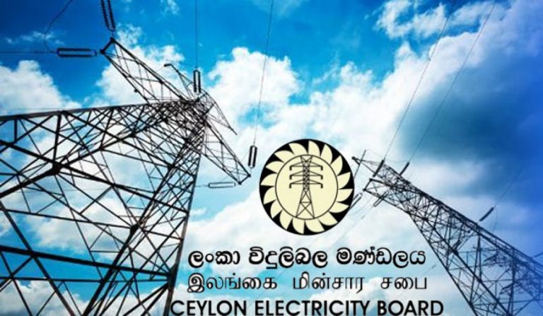 හදිසි විදුලි කප්පාදුව ගැන සෙවීමට විශේෂ කමිටුවක්
