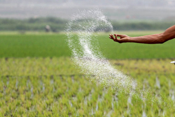 ජාතික පොහොර ප්‍රතිපත්තියක් කෙටුම්පත් කිරීමට කමිටුවක්