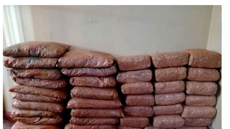 කේරළ ගංජා තොගයක් සමඟ අයෙක් නාවික හමුදා භාරයට