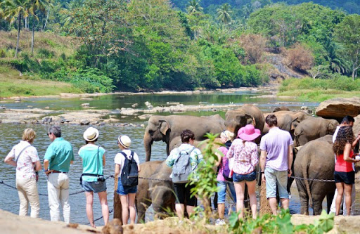 මේ වසර තුළ සංචාරක ක්ෂේත්‍රයට නව ආයෝජන 30ක්