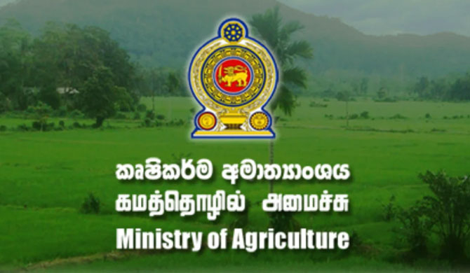 බෝග රැසක් ආනයනය කිරීම සීමා කරයි