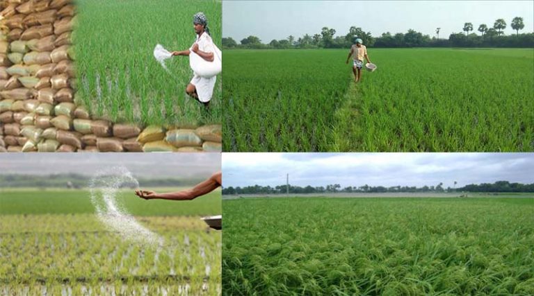 පොහොර ලේකම් කාර්යාලයෙන් දැනුම් දීමක්