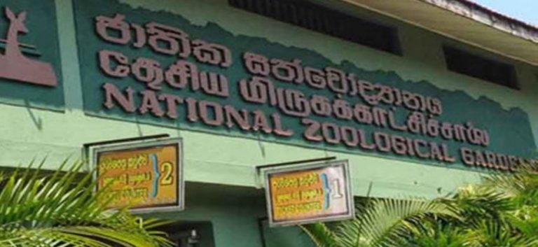අද සිට සියලු වනෝද්‍යාන සහ ජාතික උද්‍යාන විවෘත කෙරේ