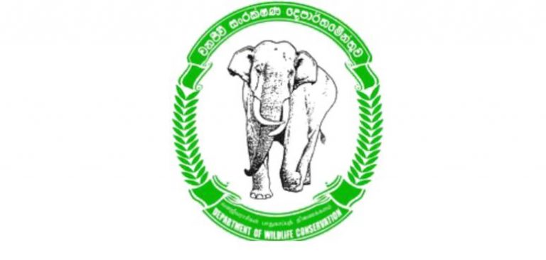 සියලු වනජීවි නිලධාරීන් අද අසනීප නිවාඩු