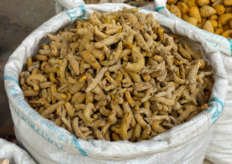 තීරැබදු රහිතව ආනයනය කළ කහ තොගයක් වටලයි