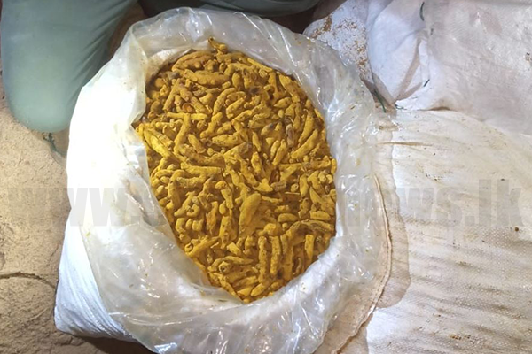 සති 3 තුළ කහ කිලෝ 8000කට වැඩි ප්‍රමාණයක් නාවික හමුදා බාරයට