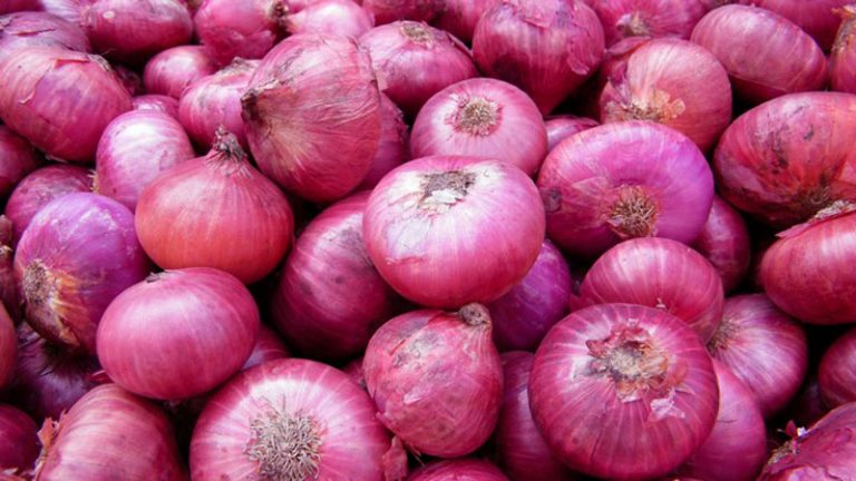ආනයනික ලොකු ළූණු බද්ද ඉහළ යයි