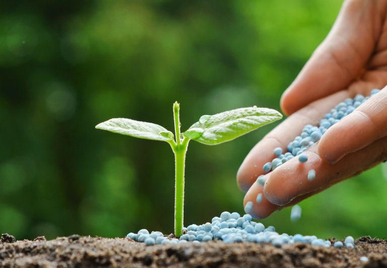 මෙවර මහ කන්නයේ පොහොර සැපයීම කාණ්ඩ 4ක් යටතේ