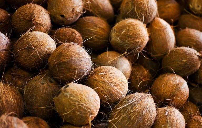 පොල් ගෙඩියක උපරිම සිල්ලර මිල මෙන්න