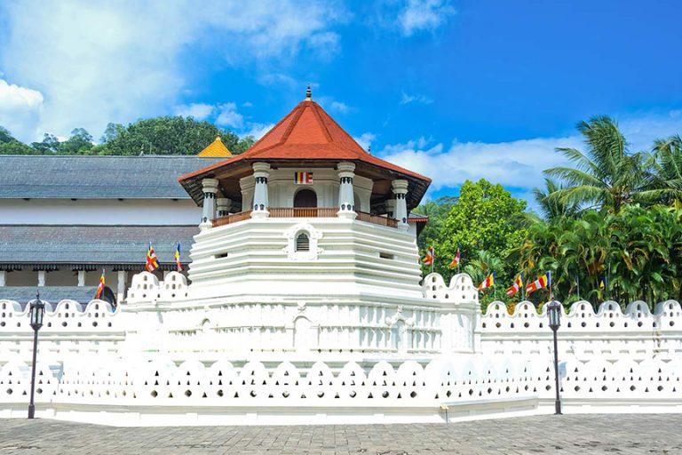 ශ්‍රී දළදා මාලිගාවේ අළුත් සහල් මංගල්‍යය චාරිත්‍රවලට අනුව අරඹයි (ඡායාරූප)