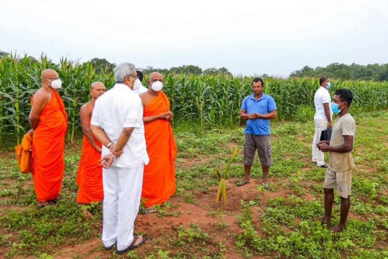 සේනා දළඹු උවදුර විමර්ශනයට ජනපති වගා බිමට යයි