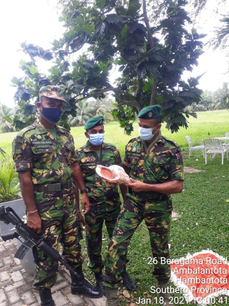 උපාය දූතයෙකු යොදවා අත්අඩංගුවට ගත් වාලම්පුරි