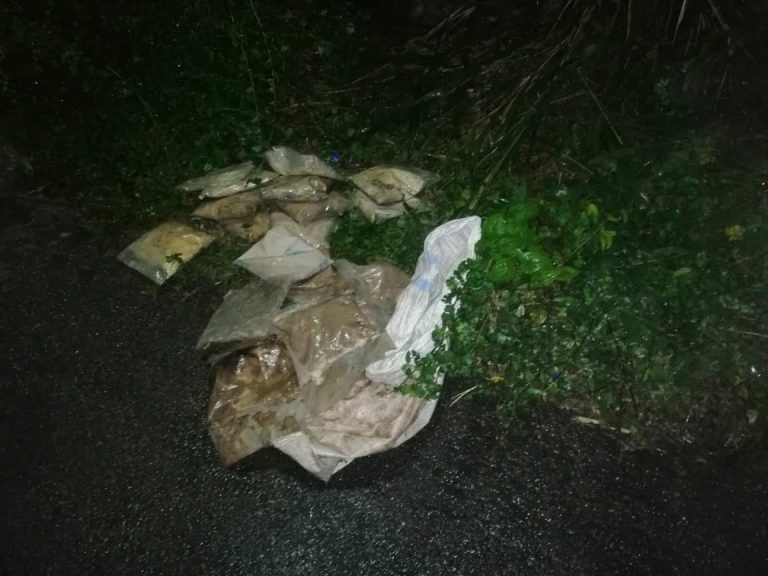 කැලෑවකින් මතුවූ හෙරොයින්